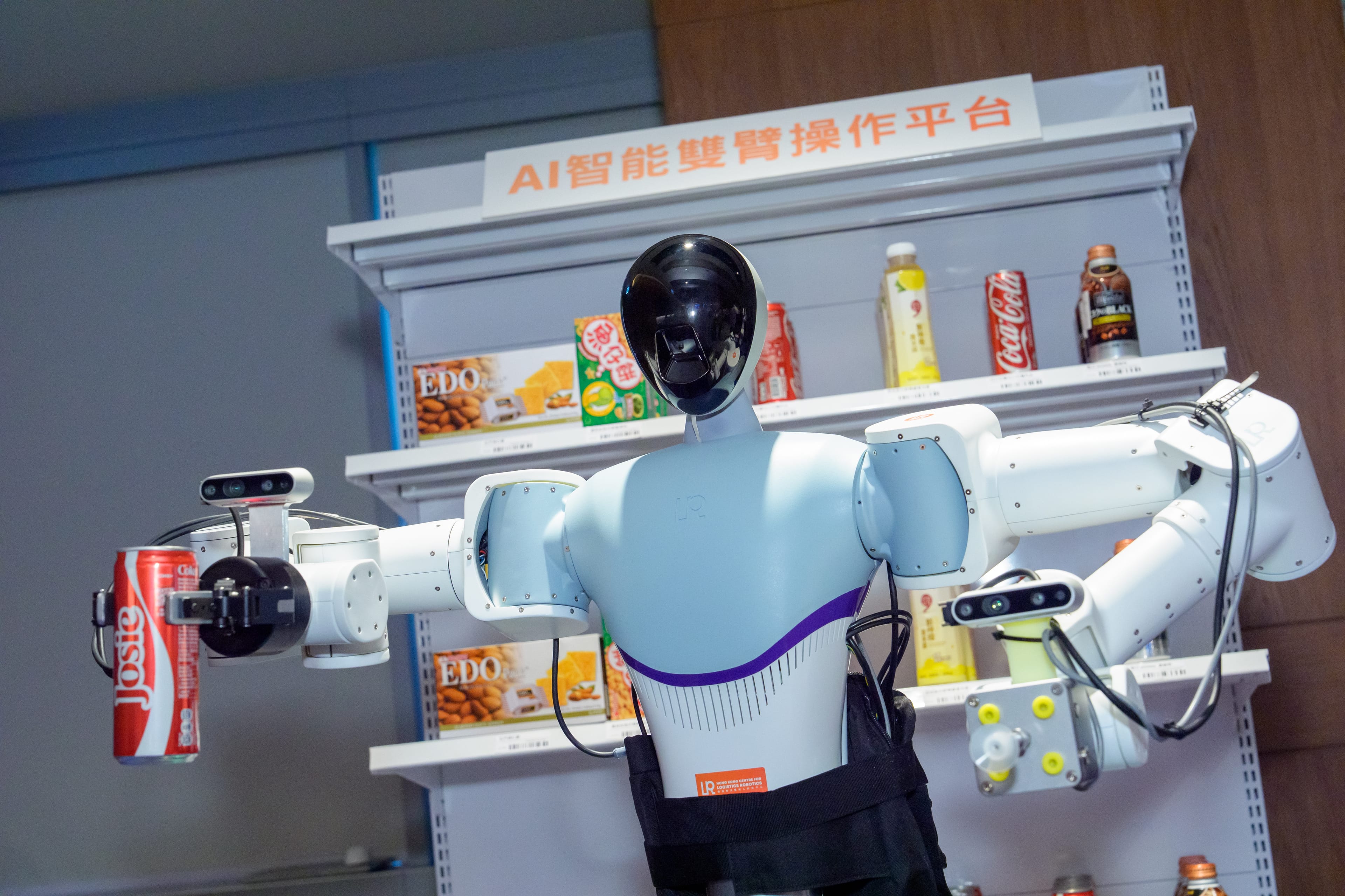 祝賀HKCLR支持研究榮獲IEEE智能製造系統最佳技術論文獎